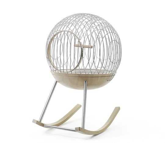 chimere cage oiseau