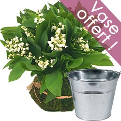 muguet-bouquet-vase-offert-250