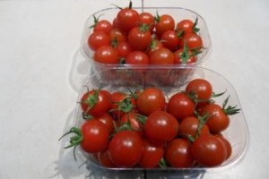  barquette de tomates cerise