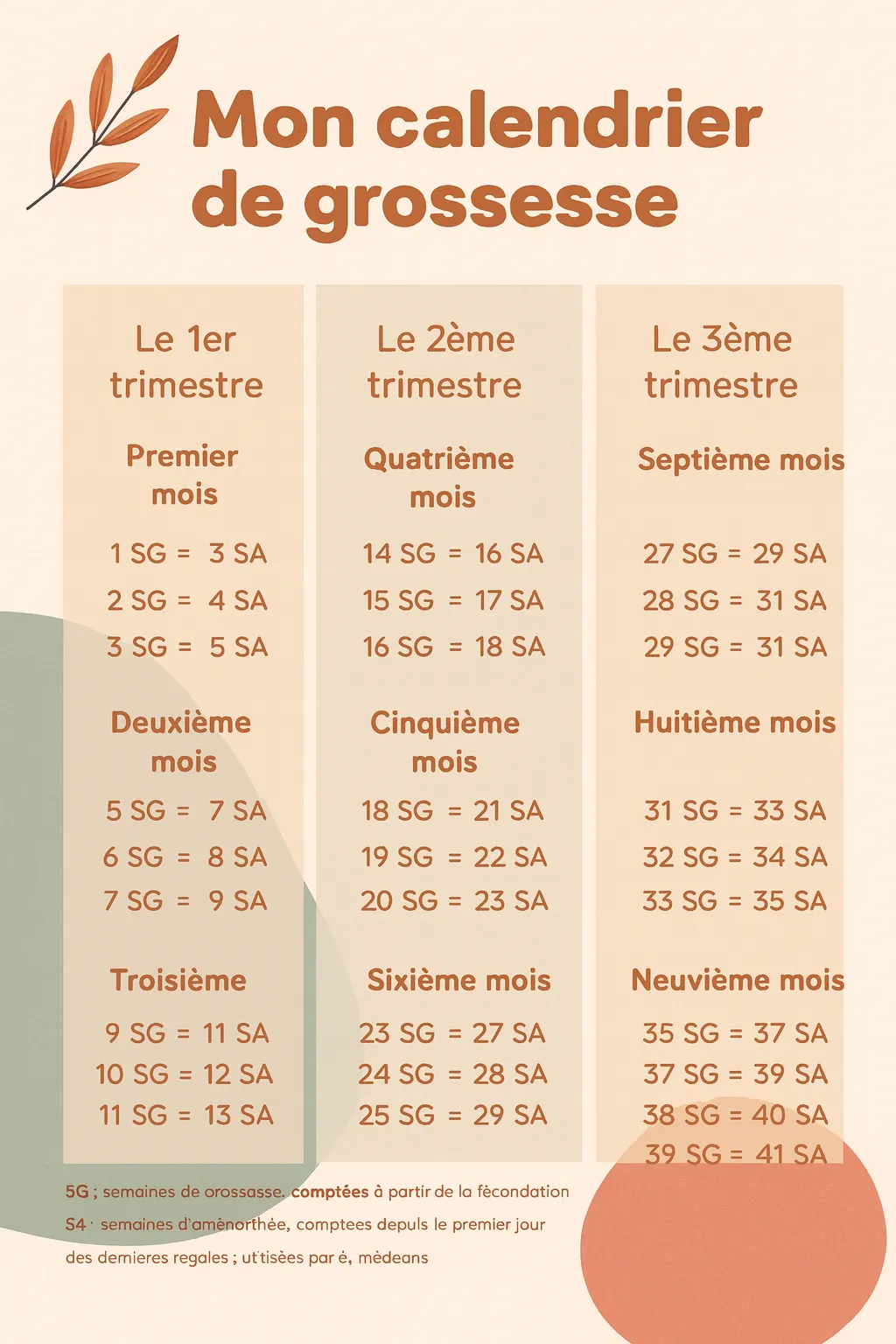 Calendrier de grossesse illustré présentant les trimestres, mois et correspondances entre semaines de grossesse et semaines d’aménorrhée