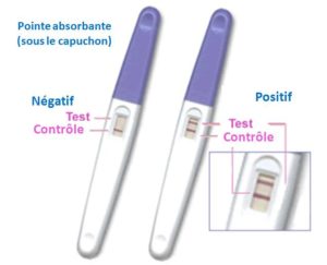 testgrossesse-urinaire