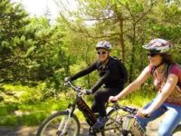 vtt electrique, velo a assistance electrique, porte bagage, autonomie, e bike, velo ville, choisir son velo, lithium, effort, velo electrique pliant, batterie lithium, pedalier, pliant, guidon, gitane, urbain, lithium ion, ion, moyeu, deux roues, scooter electrique, shimano, selle, fourche, recharger, velo hollandais, velo enfant, subvention, frein a disque, rouler, cycliste, balade, accessoires velo, volts, casque velo, batterie lithium ion, nexus, derailleur, freinage, bosch, garde boue, mobiky, velo pliant electrique, piste cyclable, cadre aluminium, panier velo, hollandais, crevaison, haut de gamme, mon velo, demarrage, transmission, pliable, speed, shimano tourney, acheter un velo, sacoche, solex, bagages, trekking, confortable, roue electrique, mobilite, facilite, tout terrain, easybike, v brake, performant, giant, scooter, velo pliable