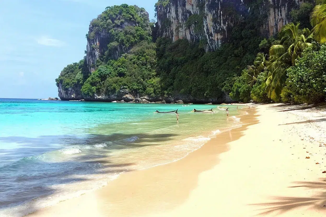 Plage paradisiaque de sable blanc avec mer turquoise et falaises verdoyantes sous le soleil tropical
