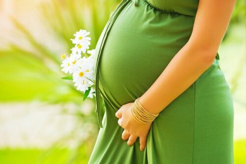 bigstock Closeup on tummy of pregnant w 50515382 500x335 - Grossesse,comment se prémunir contre les allergies