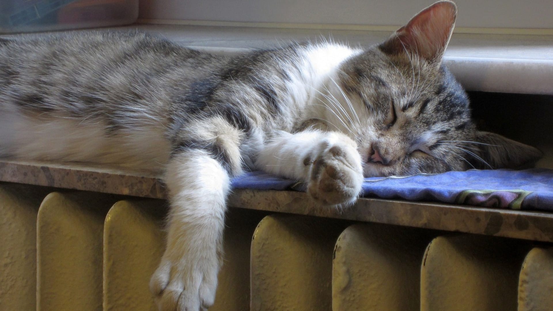 Comment installer un radiateur horizontal ?