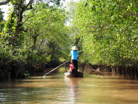 mangrove dans le delta du Mékong