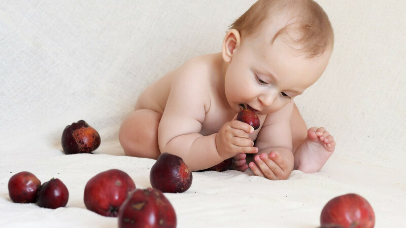 Miser Sur Les Atouts D Un Babycook Pour Diversifier L Alimentation De Bebe Miser Sur Les Atouts D Un Babycook Pour Diversifier L Alimentation De Bebe
