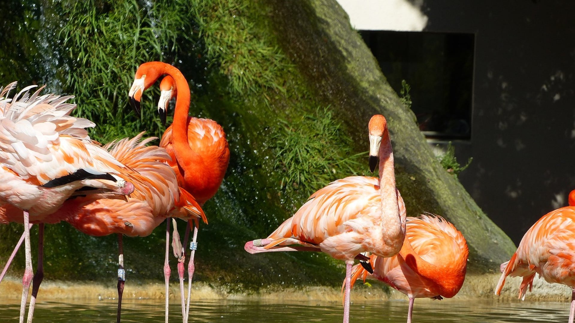 Des vacances en famille en Poitou-Charente