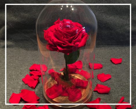 Idée déco St Valentin 2019 : la rose éternelle