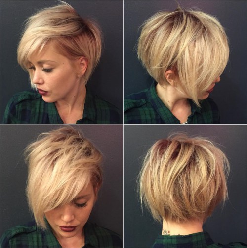 Tousled Blonde Pixie Bob