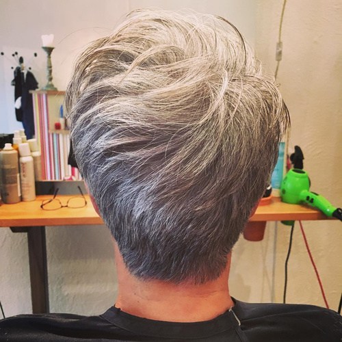 Short Tapered Gray Hairstyle