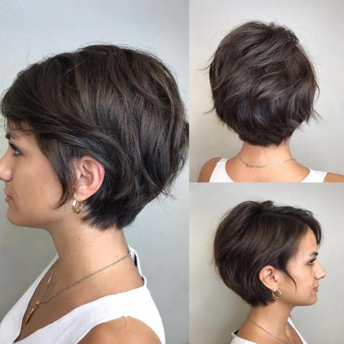 Pixie-Bob brune texturée mignonne