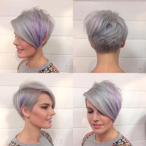 Lavender Pixie Bob