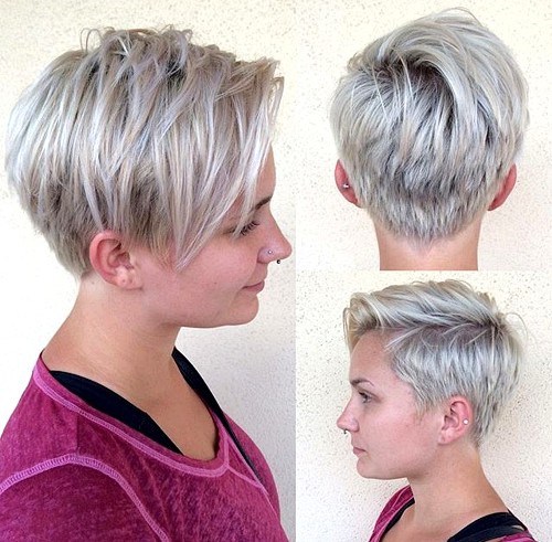 platinum blonde pixie bob