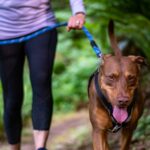 Marcher : Un moyen facile de se mettre en forme