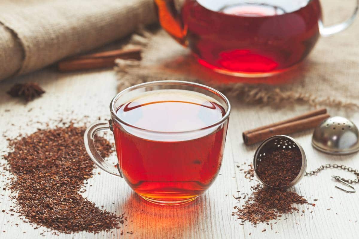 Quels sont les bienfaits du thé rooibos sur notre santé ?