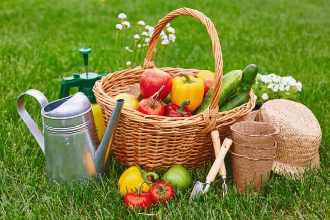 10 idées cadeaux pour les jardiniers – Femme Magazine