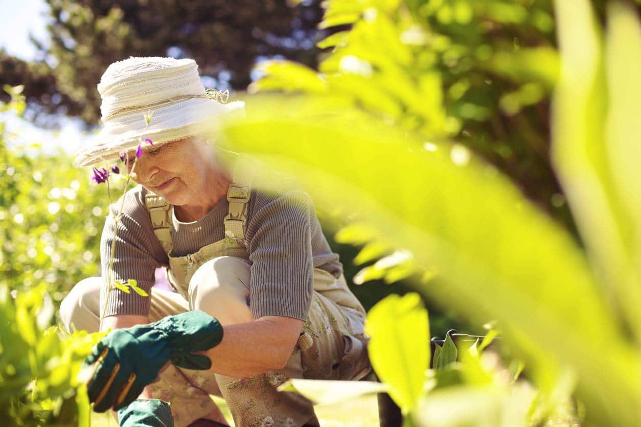 activité loisir jardinage