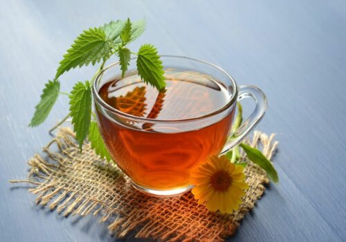 Phytothérapie minceur thé vert