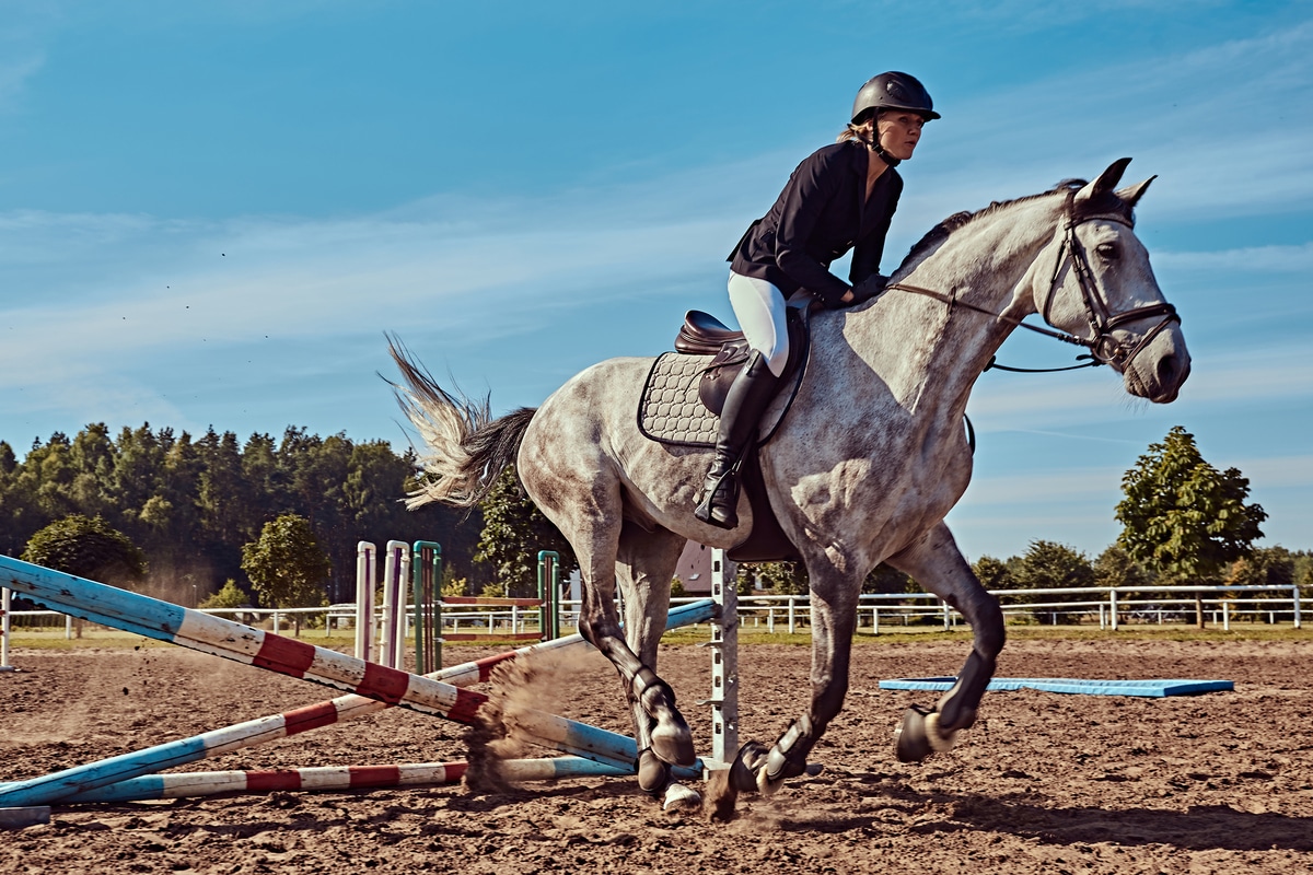 female jockey on dapple gray horse jumping over hu 2021 08 28 01 03 20 utc 1 - L'équitation, le sport idéal pour faire du sport et se faire plaisir ?