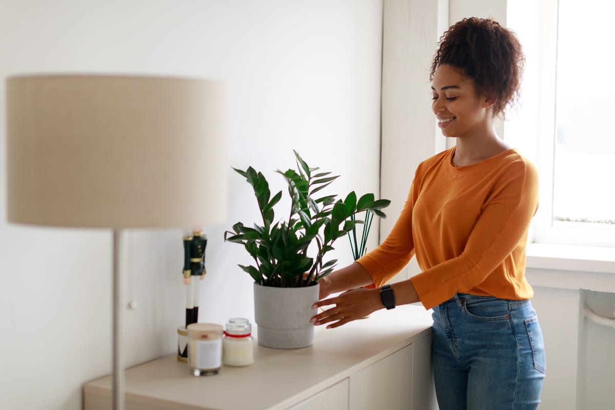 black woman putting vase with plant on cupboard 2022 01 05 02 31 44 utc - 10 astuces pour une chambre plus douillette et esthétique
