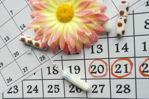 menstruation calendrier