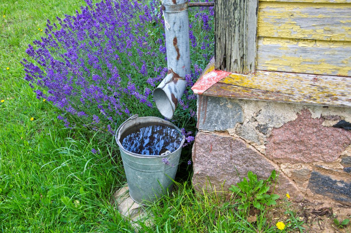 Guide pratique pour installer un récupérateur d’eau de pluie avec gouttière