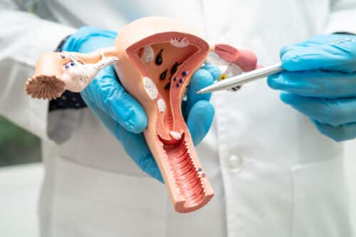 uterus artificiel polémique