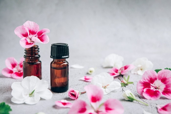 vue de face des bouteilles en verre d'huile essentielle de géranium avec des fleurs et des pétales roses et blancs frais sur gris