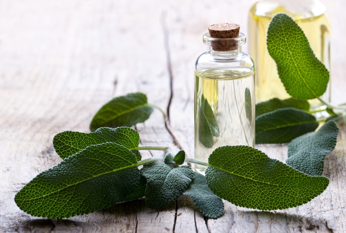 huile essentielle de sauge sarclée bienfaits aromathérapie santé beauté peau 