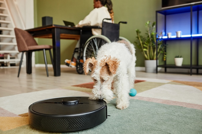 chien mignon reniflant un Aspirateur robot pendant que femme se repose tranquilement