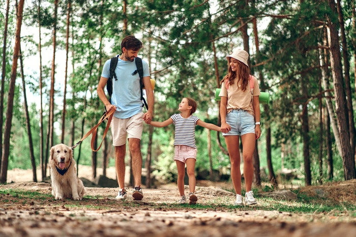 Famille en vacances en forêt, randonnée 2023 11 27 04 54 50 utc