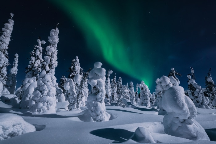 paysage neige sapins aurore boréale laponie séjour
