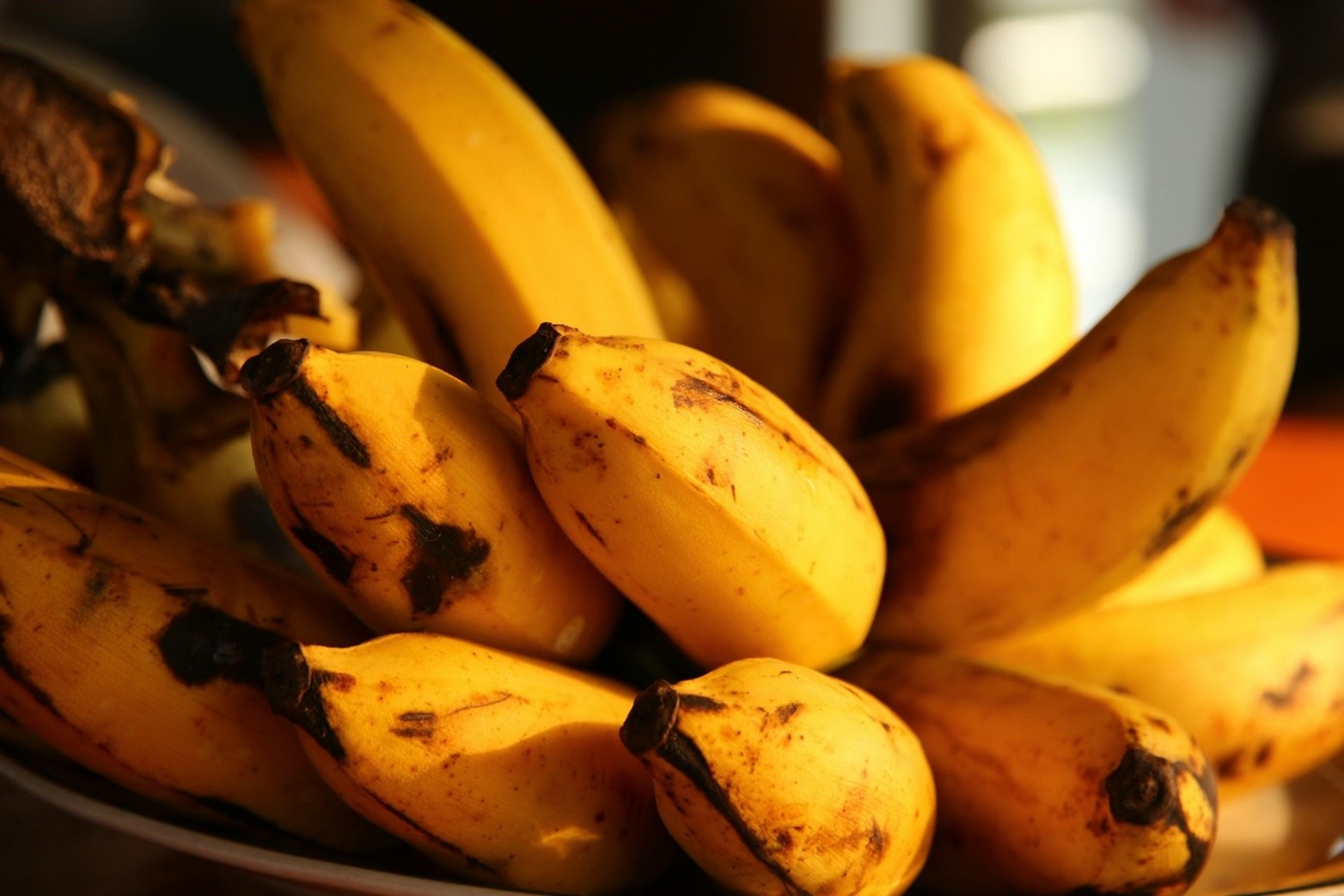 Bananes plantain pour mofongo crevettes
