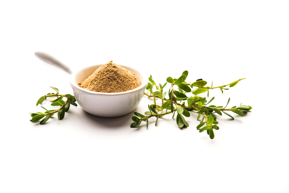 Bacopa monnieri en poudre dans une coupelle blanche, plante ayurvédique pour améliorer la mémoire et la concentration