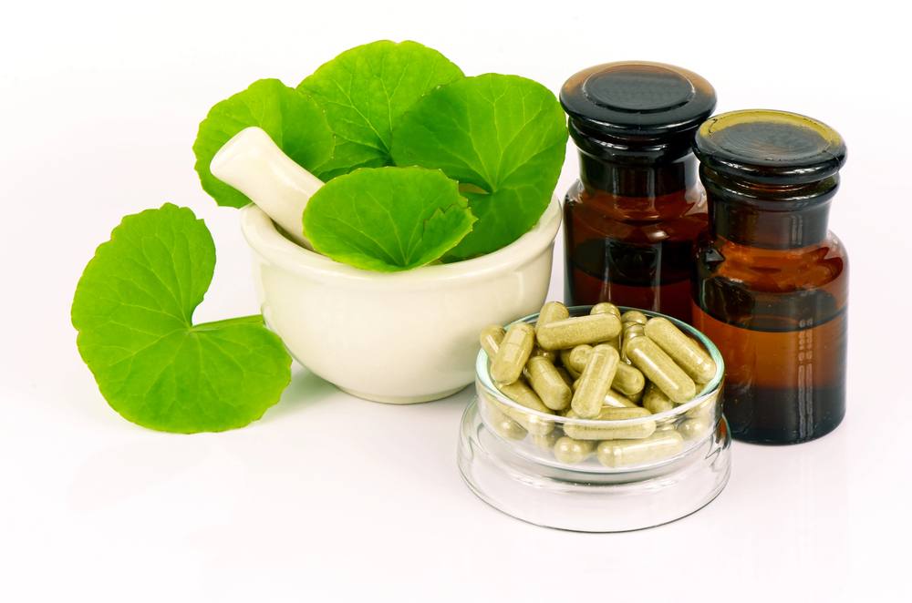 Gotu kola (Centella asiatica) en feuilles avec capsules et pot de préparation, plante utilisée pour améliorer la clarté mentale
