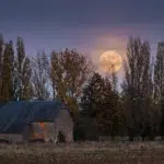 Pleine lune octobre 2026 : le rituel pour trier avant l’hiver